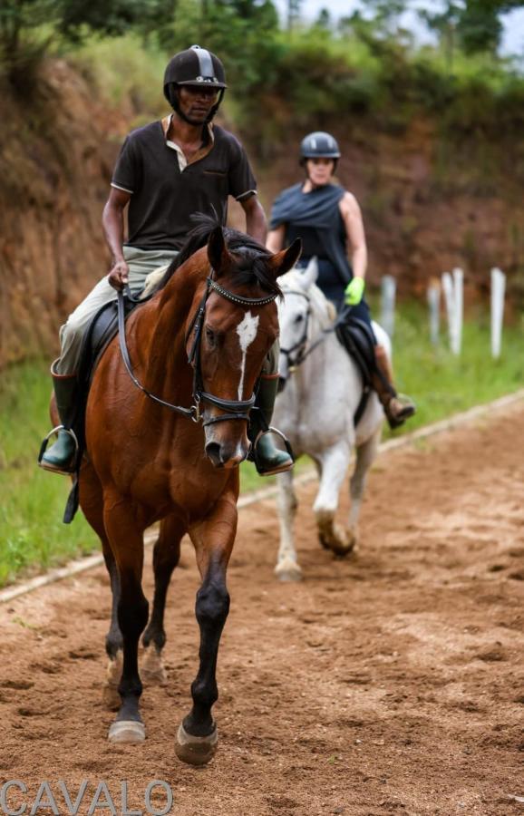 Cavalo Guesthouse & Equestrian Estate Drummond Dış mekan fotoğraf