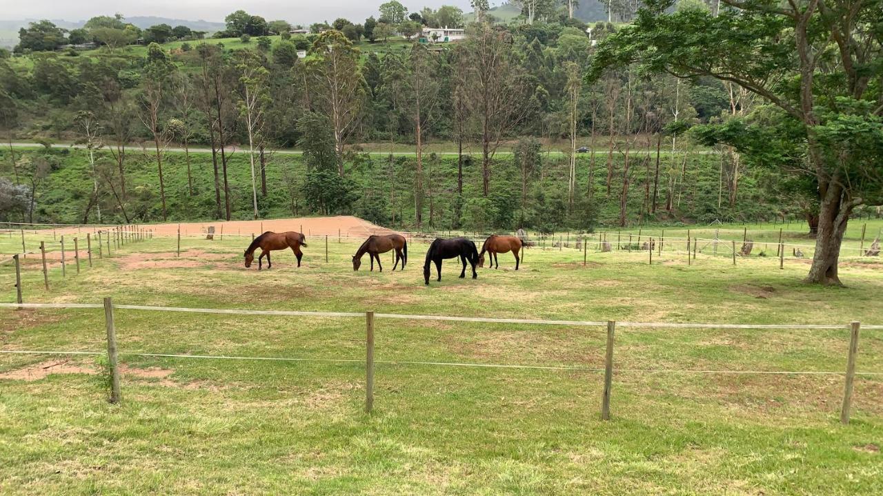 Cavalo Guesthouse & Equestrian Estate Drummond Dış mekan fotoğraf